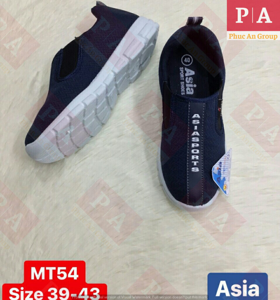 giày bảo hộ Asia loại MT54 Asia