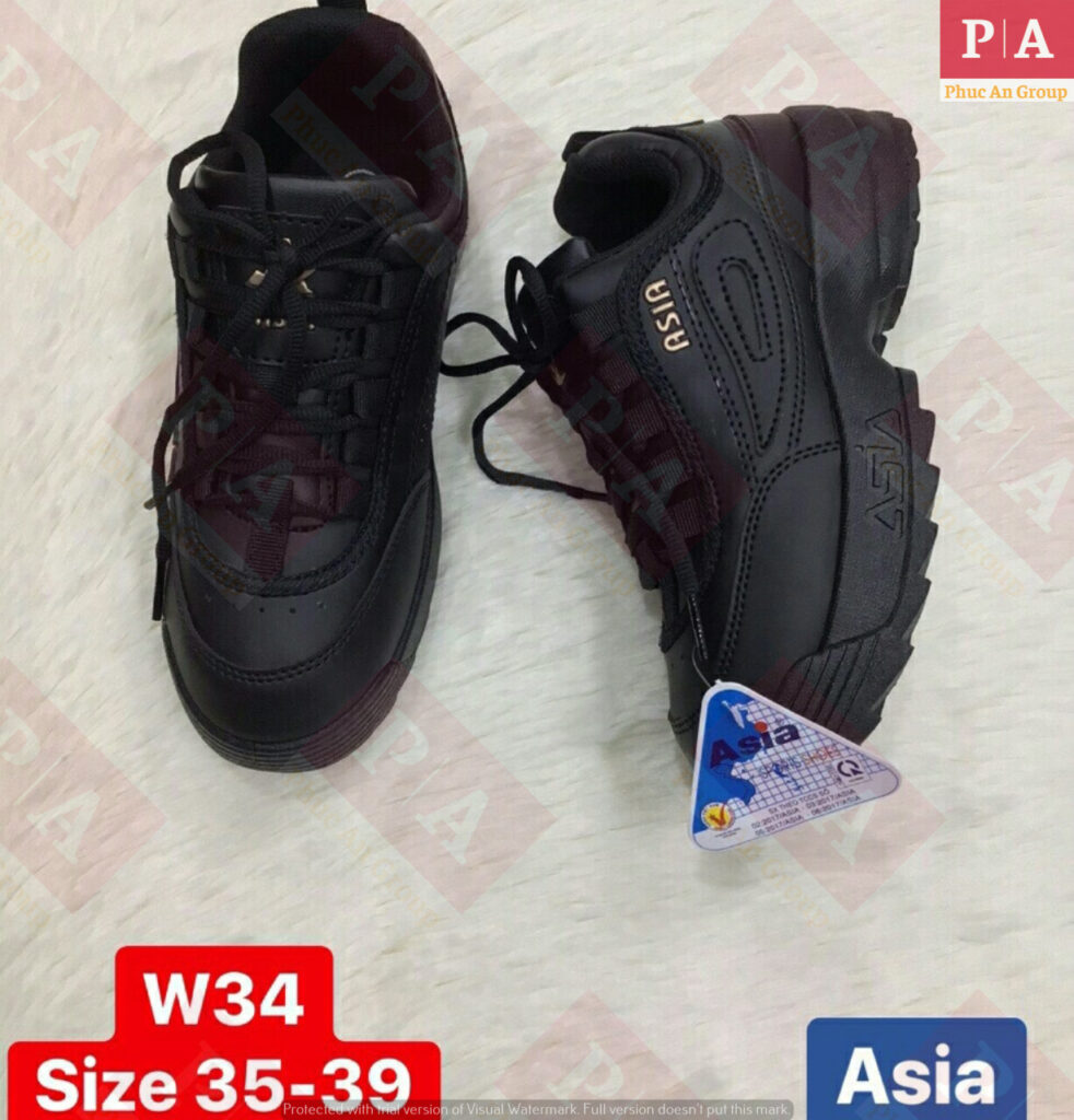 giày bảo hộ loại W34 Asia (1)